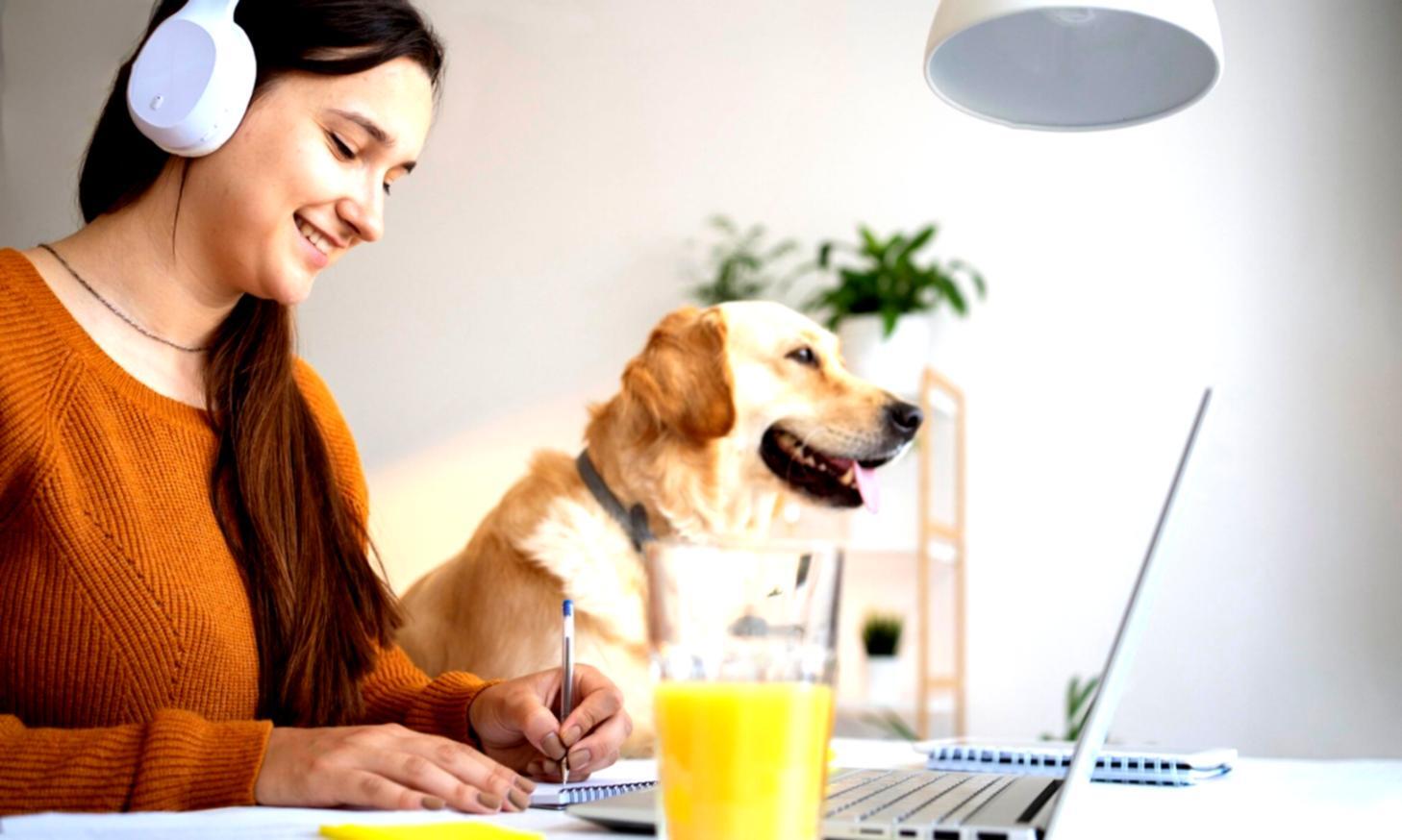 Processus de planification financière personnalisée